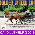 WINNER DRESSAGE Thorsten Zarembovice GER CAI Dillenburg Golden Wheel CUP Single Driving 2010